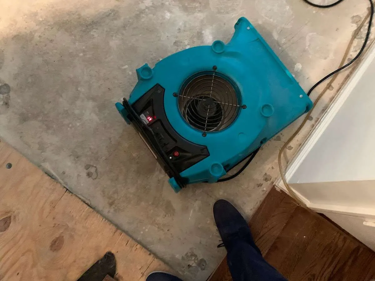 Air mover drying subfloor during Commercial Water Damage Restoration in Newman