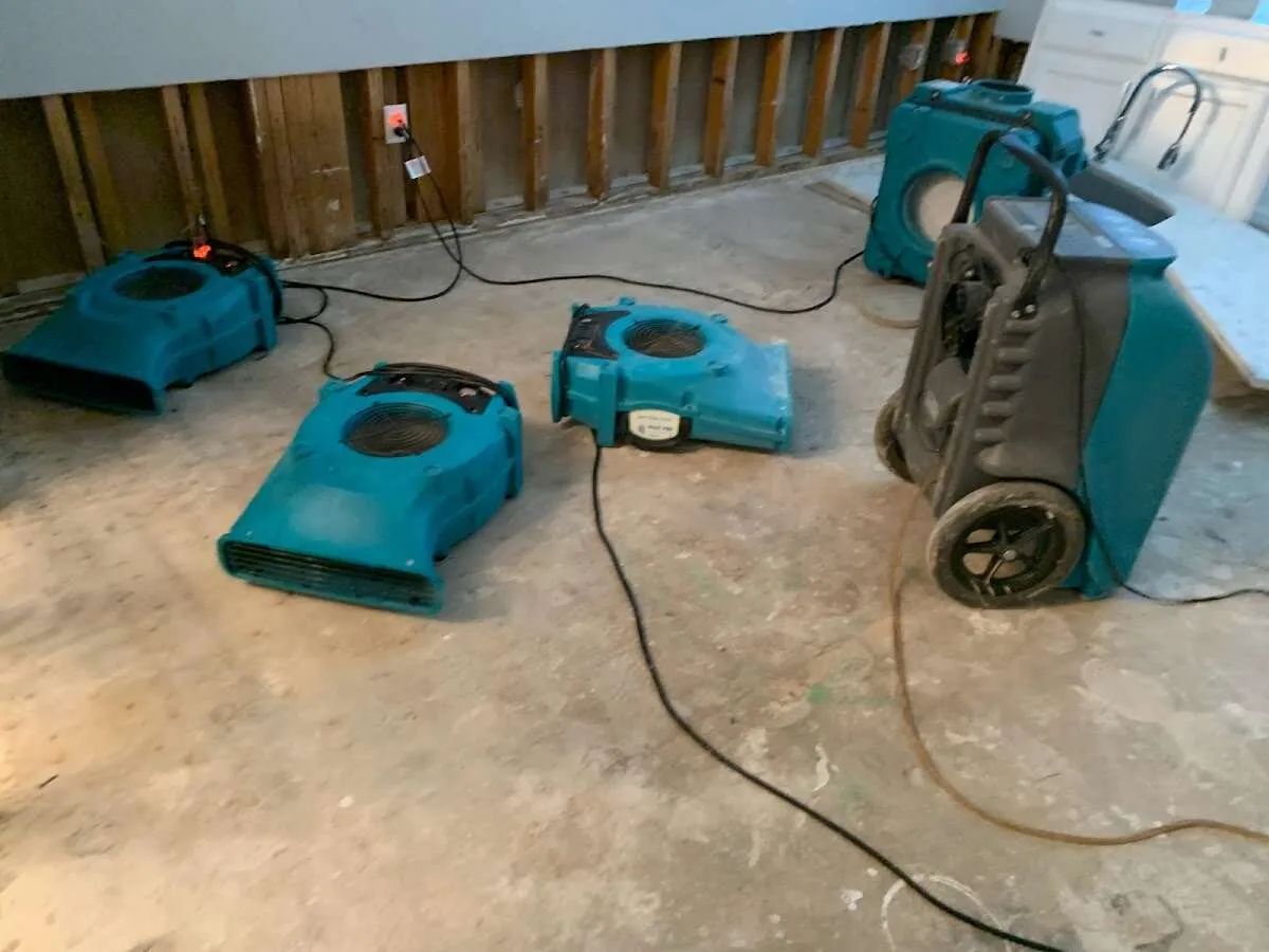 Drying & Dehumidification in Newman, CA
